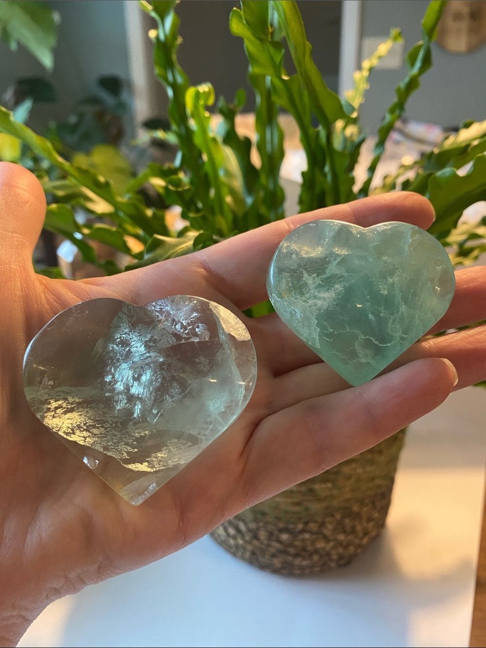 Green Fluorite Heart Palm Stones - Pair
